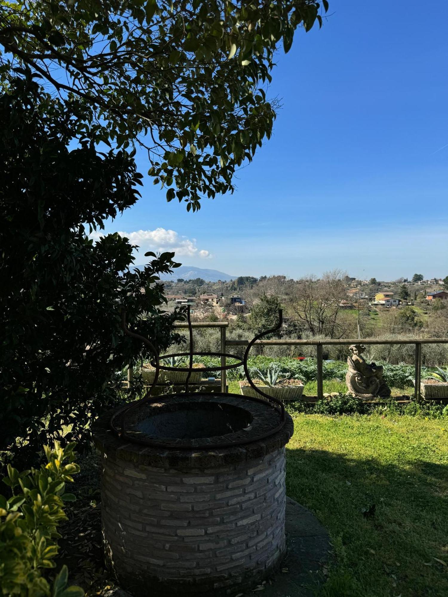 La Terrazza Su Roma Bed & Breakfast Zagarolo Exterior photo